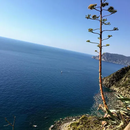 Cavallotti 21 ゲストハウス ラ・スペツィア