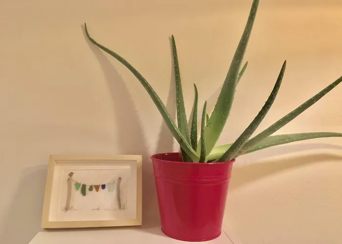 Cavallotti 21 Pensionat 3*