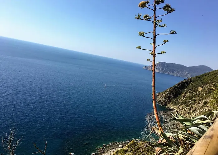 Cavallotti 21 Pensionat La Spezia